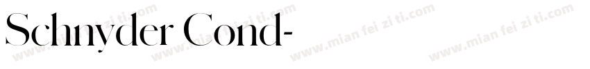 Schnyder Cond字体转换
